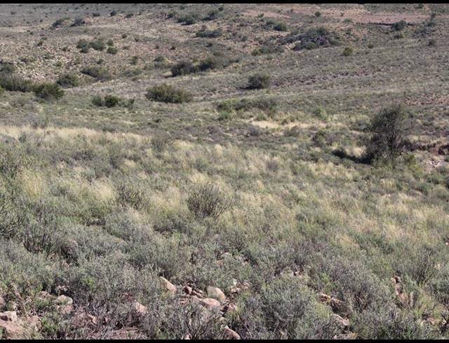 8,280HA FARM FOR SALE IN RICHMOND RURAL